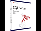 Sql Server 2022 Standard Edition - Edu Perpetuo